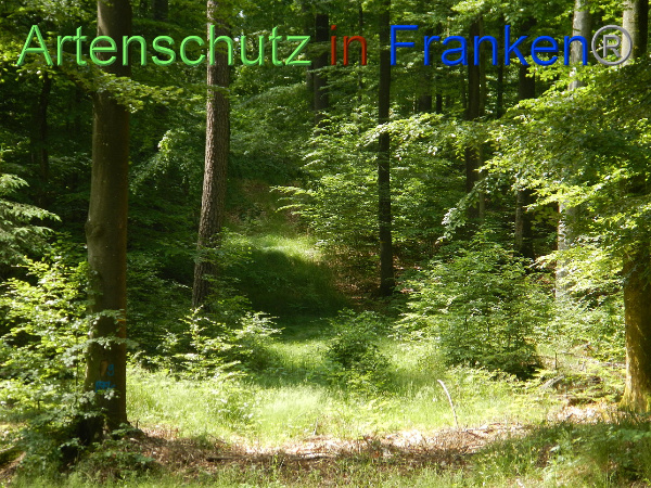 Bild zum Eintrag (100091-160)