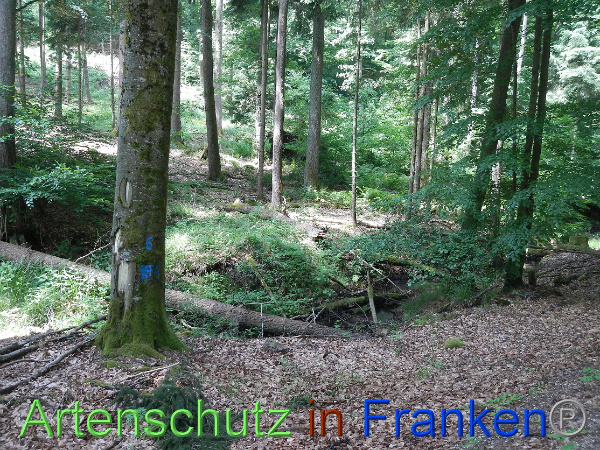 Bild zum Eintrag (100106-160)