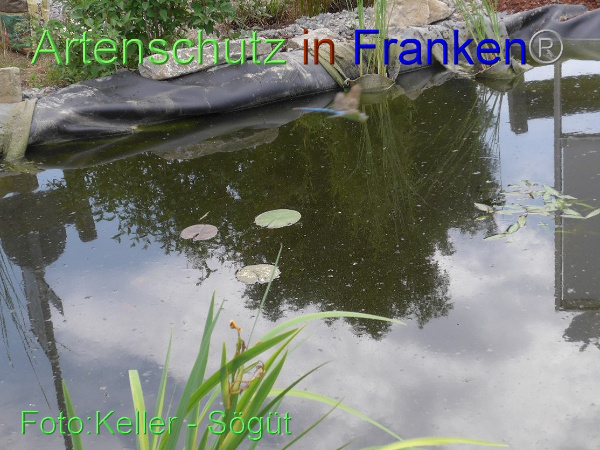 Copyright AiF Keller-Sögüt Bild zum Eintrag (100142-160)