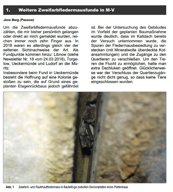 © Artenschutz in Franken® Bild zum Eintrag (1001757-160)