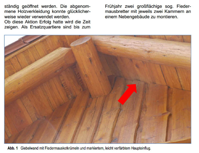 © Artenschutz in Franken® Bild zum Eintrag (1001763-160)