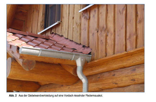© Artenschutz in Franken® Bild zum Eintrag (1001764-160)
