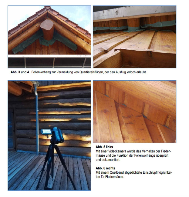 © Artenschutz in Franken® Bild zum Eintrag (1001765-160)