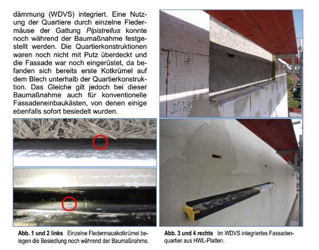 © Artenschutz in Franken® Bild zum Eintrag (1001767-160)