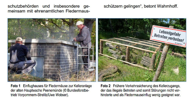 © Artenschutz in Franken® Bild zum Eintrag (1001774-160)