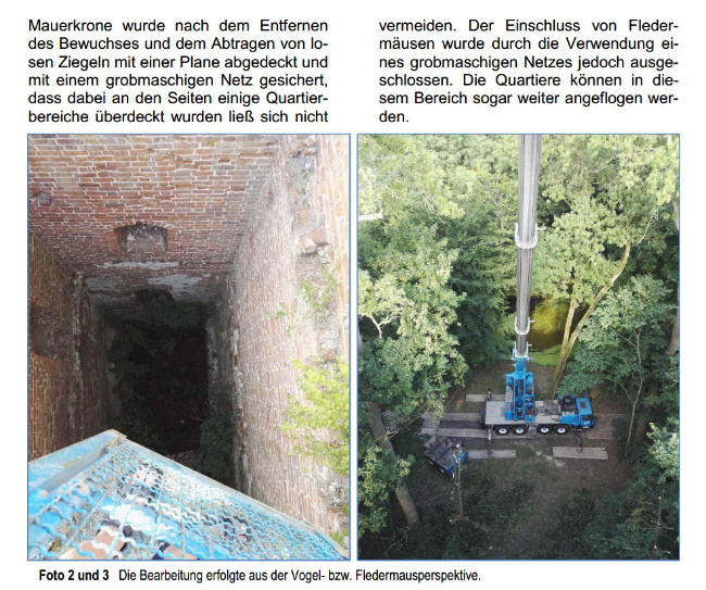 © Artenschutz in Franken® Bild zum Eintrag (1001778-160)