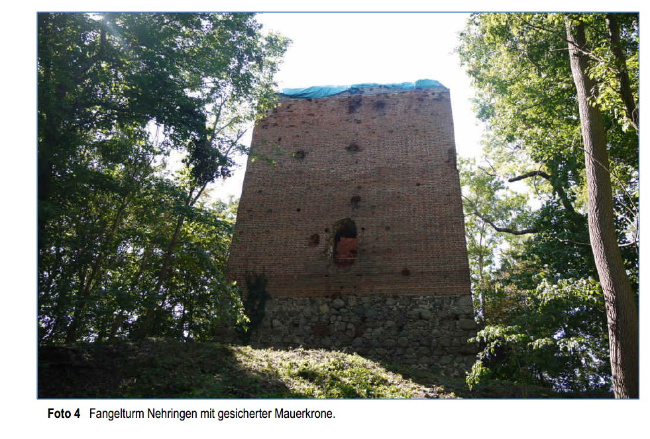 © Artenschutz in Franken® Bild zum Eintrag (1001779-160)
