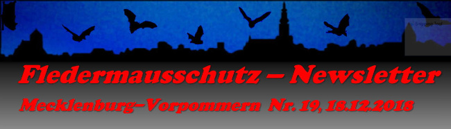 Copyright AiF - Jens Berg – Fledermausschutz M-V Bild zum Eintrag (1001781-160)