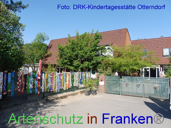 Copyright AiF DRK Kita Otterndorf Bild zum Eintrag (100192-160)