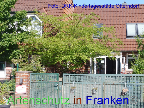 Copyright AiF DRK Kita Otterndorf Bild zum Eintrag (100193-160)