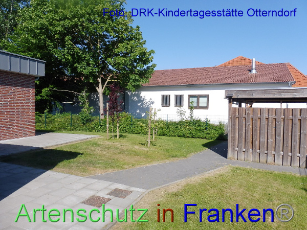 Copyright AiF DRK Kita Otterndorf Bild zum Eintrag (100194-160)