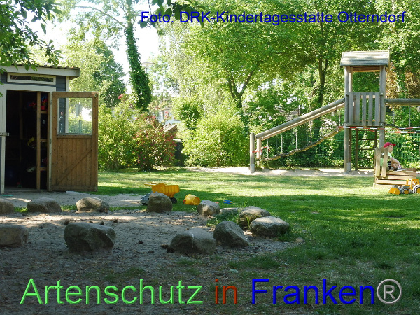Copyright AiF DRK Kita Otterndorf Bild zum Eintrag (100195-160)