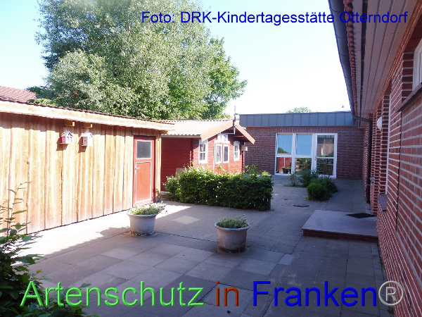 Copyright AiF DRK Kita Otterndorf Bild zum Eintrag (100196-160)
