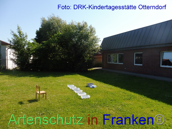Copyright AiF DRK Kita Otterndorf Bild zum Eintrag (100197-160)