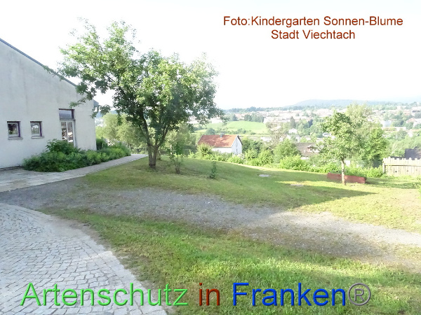 Bild zum Eintrag (100227-160)