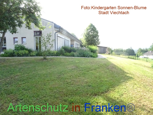 Bild zum Eintrag (100229-160)