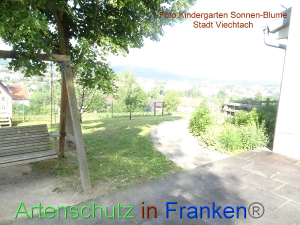 Bild zum Eintrag (100231-160)