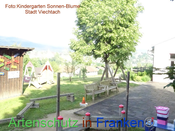 Bild zum Eintrag (100232-160)