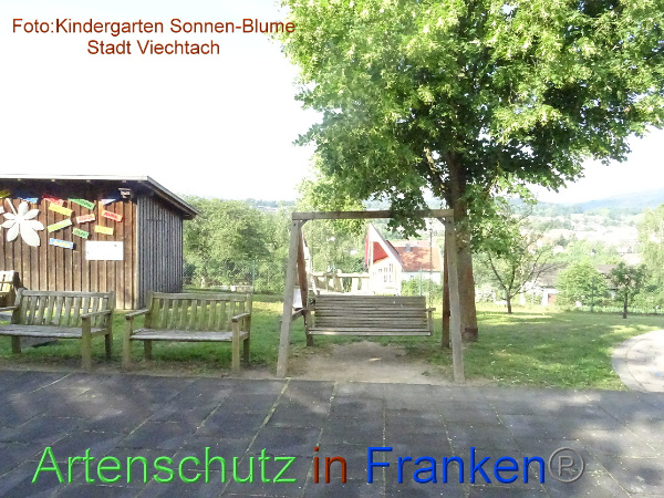 Bild zum Eintrag (100233-160)