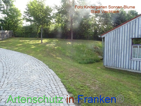 Bild zum Eintrag (100235-160)