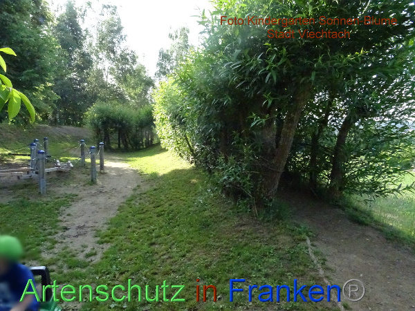 Bild zum Eintrag (100242-160)