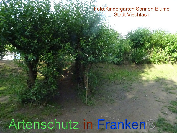 Bild zum Eintrag (100244-160)