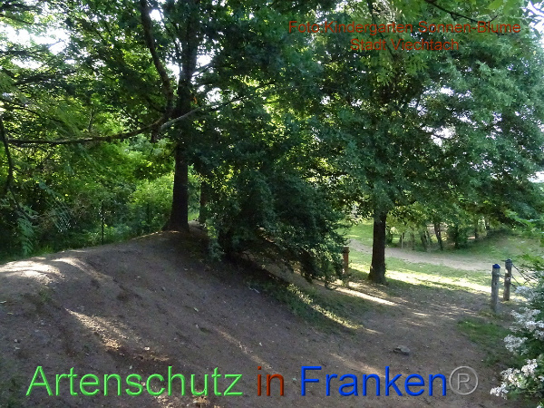 Bild zum Eintrag (100247-160)