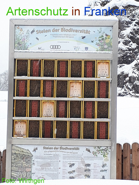 © Artenschutz in Franken® Bild zum Eintrag (1002702-160)