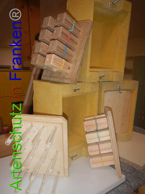 © Artenschutz in Franken® Bild zum Eintrag (1002805-160)