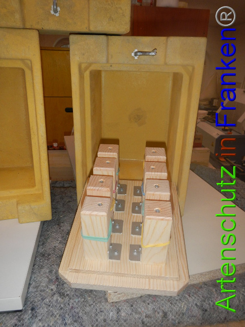 © Artenschutz in Franken® Bild zum Eintrag (1002806-160)