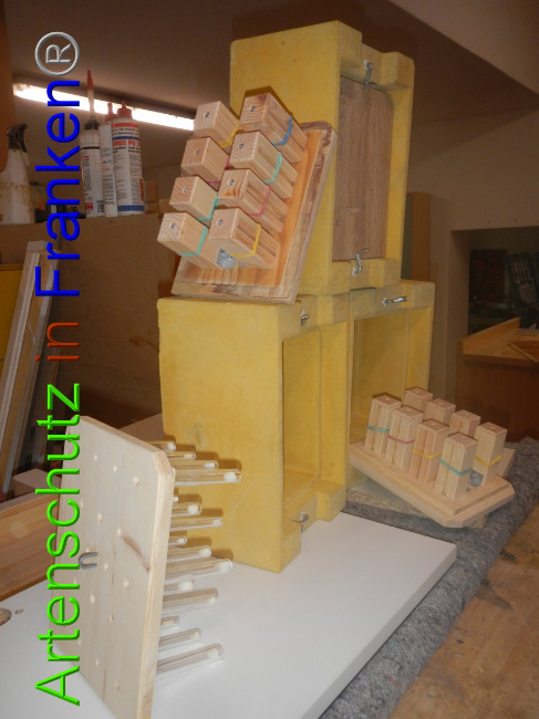© Artenschutz in Franken® Bild zum Eintrag (1002808-160)