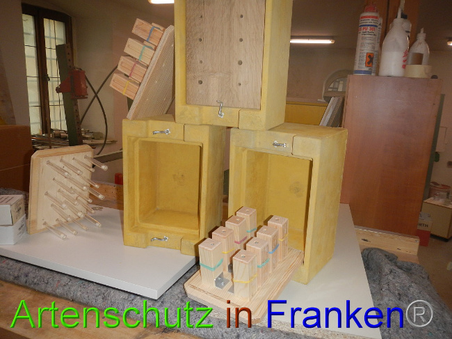© Artenschutz in Franken® Bild zum Eintrag (1002810-160)