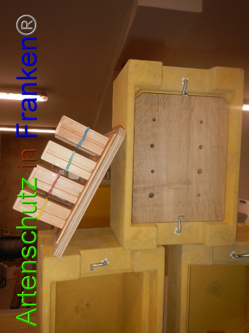 © Artenschutz in Franken® Bild zum Eintrag (1002811-160)