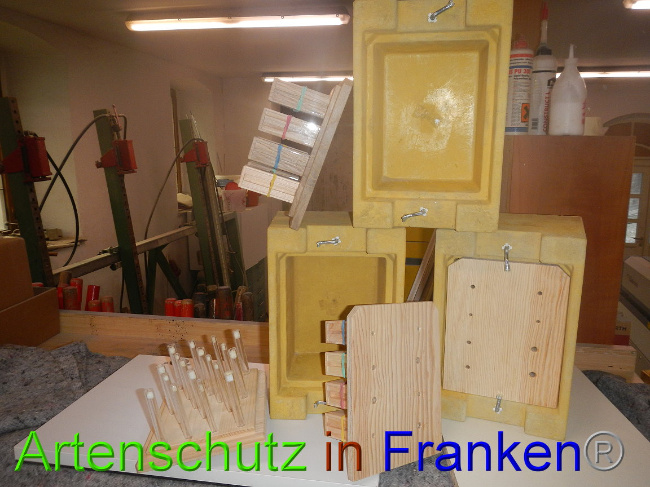 © Artenschutz in Franken® Bild zum Eintrag (1002812-160)