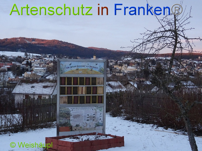 Bild zum Eintrag (1003182-160)