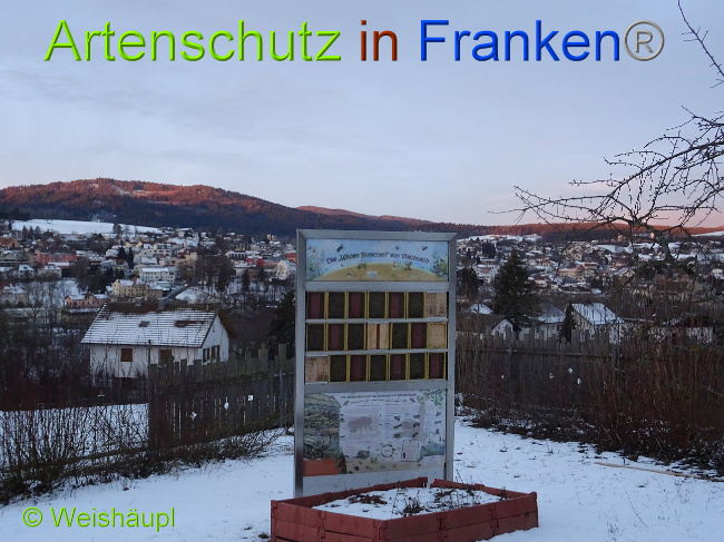 Bild zum Eintrag (1003183-160)