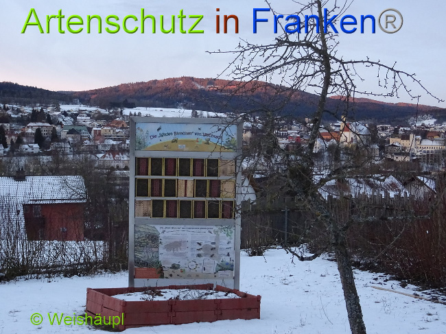 Bild zum Eintrag (1003185-160)