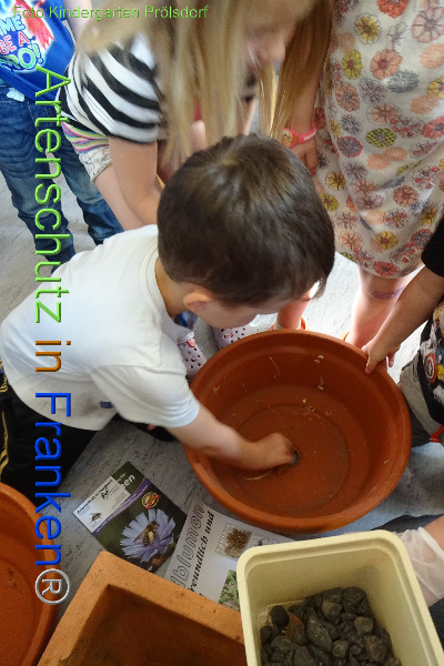 Bild zum Eintrag (100363-160)