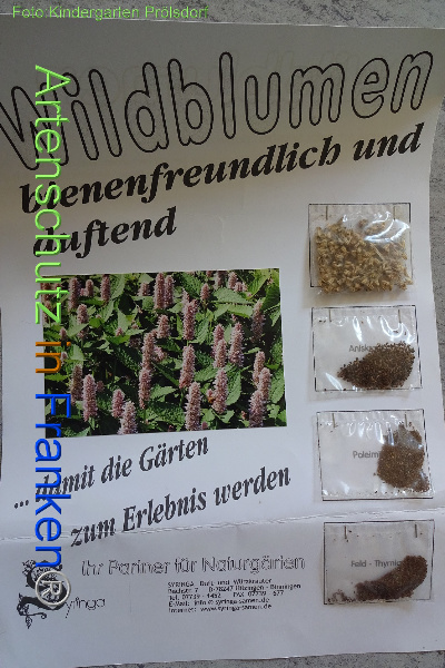 Bild zum Eintrag (100365-160)