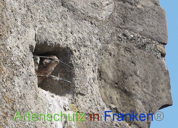 Bild zum Eintrag (100415-160)