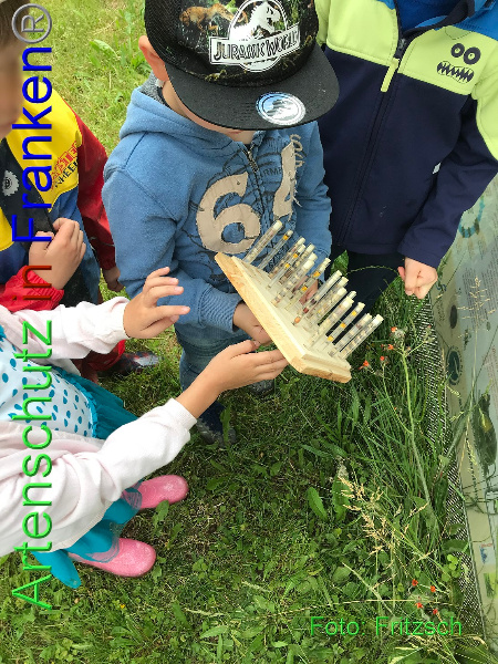 Copyright AiF Fritzsch Bild zum Eintrag (100435-160)