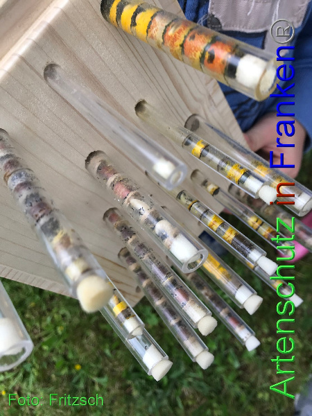Copyright AiF Fritzsch Bild zum Eintrag (100436-160)
