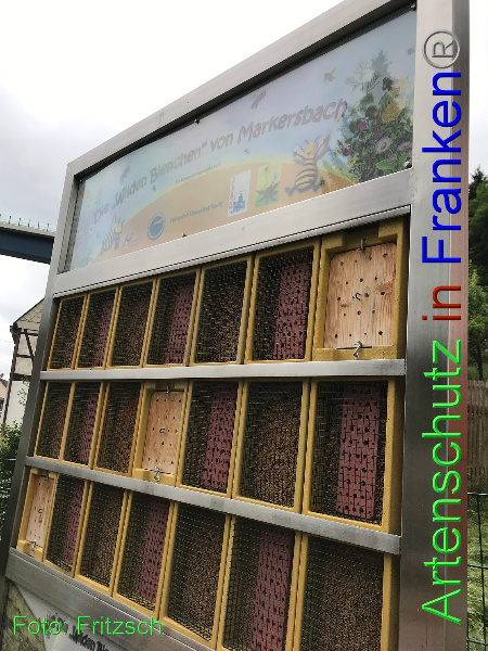 Copyright AiF Fritzsch Bild zum Eintrag (100438-160)