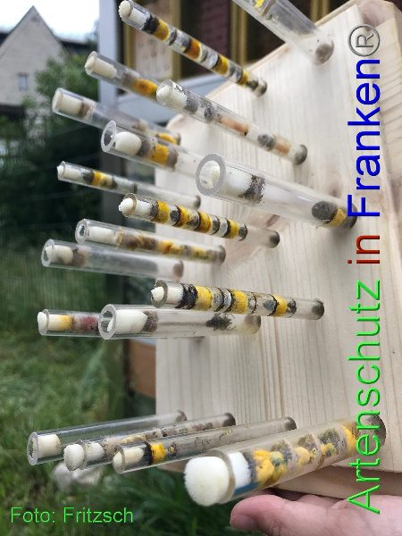 Copyright AiF Fritzsch Bild zum Eintrag (100440-160)