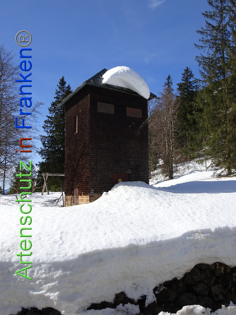© Artenschutz in Franken® Bild zum Eintrag (1004802-160)