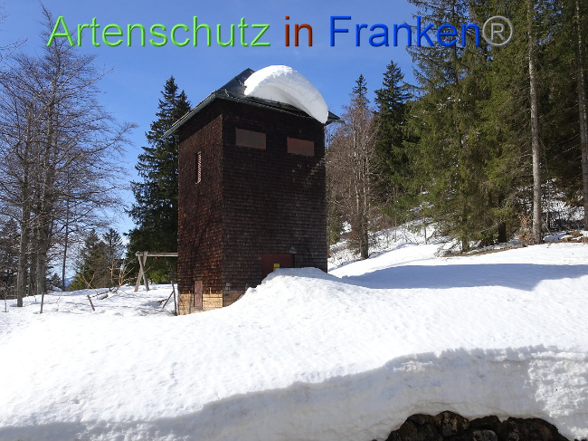 © Artenschutz in Franken® Bild zum Eintrag (1004804-160)