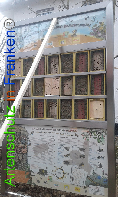 © Artenschutz in Franken® Bild zum Eintrag (1004896-160)