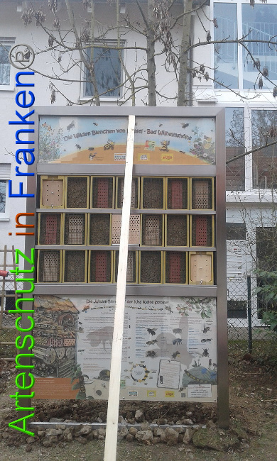 © Artenschutz in Franken® Bild zum Eintrag (1004898-160)