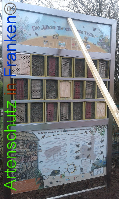 © Artenschutz in Franken® Bild zum Eintrag (1004936-160)