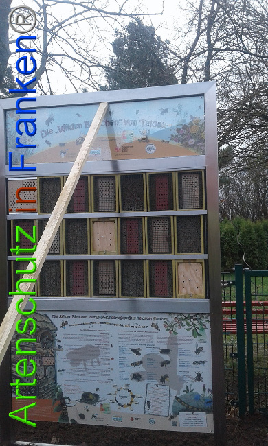 © Artenschutz in Franken® Bild zum Eintrag (1004937-160)